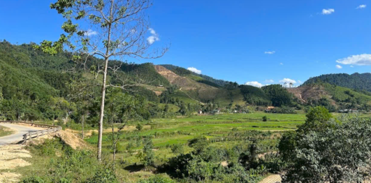 Bãi tắm Cây Sung 