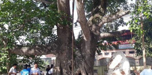Lễ hội Cây đa làng Trù