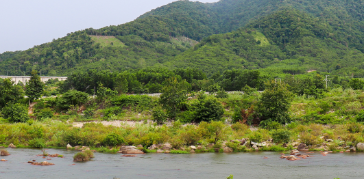 Hồ Định Bình