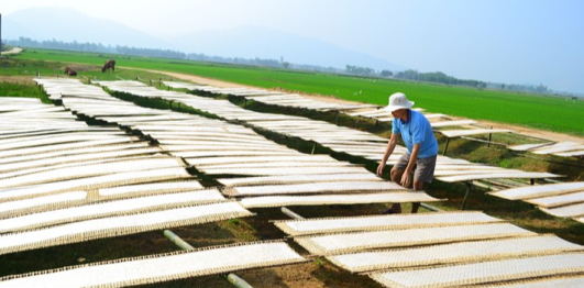 Làng bánh tráng Trường Cửu