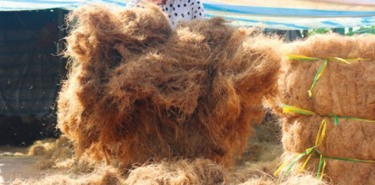 Làng nghề thảm xơ dừa Tam Quan
