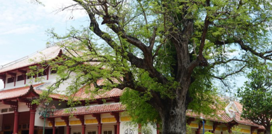Khu di tích Điện thờ Tây Sơn 