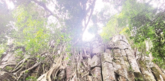 Thành đá Tà Kơn
