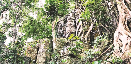 Thành đá Tà Kơn
