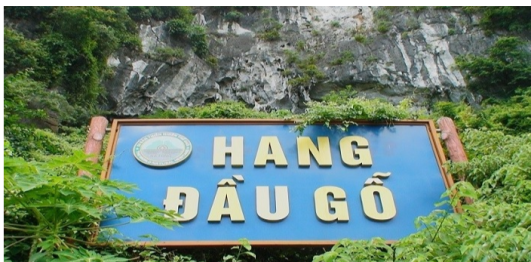 Hang Đầu Gỗ