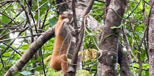 Khu bảo tồn thiên nhiên An Toàn