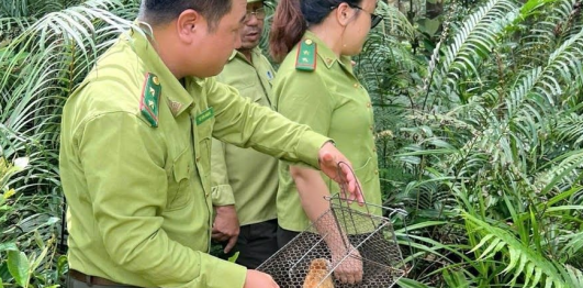 Khu bảo tồn thiên nhiên An Toàn