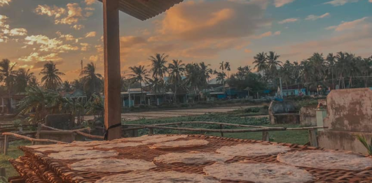 Làng nghề bánh tráng nước dừa Tam Quan 