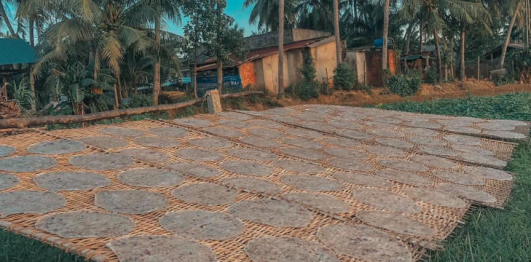 Làng nghề bánh tráng nước dừa Tam Quan 