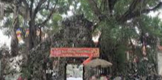 Chùa Phổ Giác