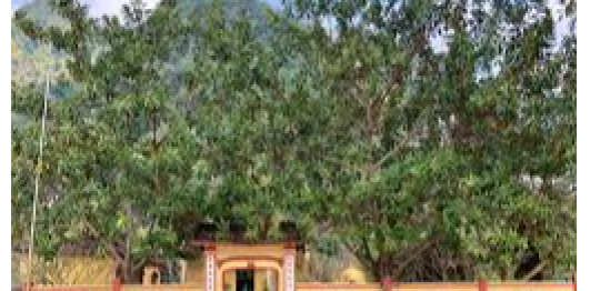 Chùa Sùng Phúc (Sùng Khánh)