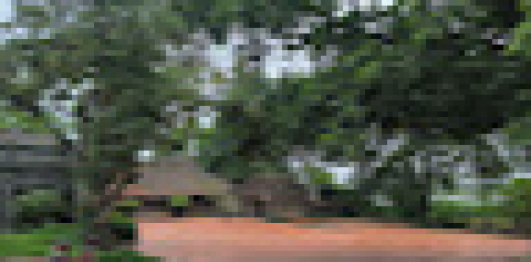 Đình Phương Bản