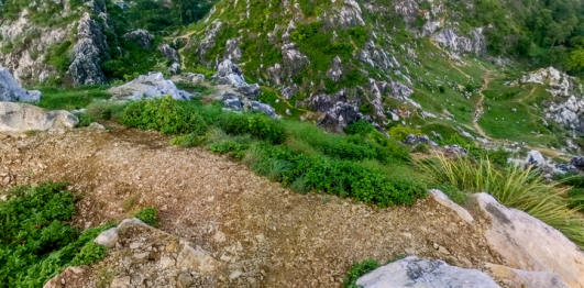 Chùa Trầm