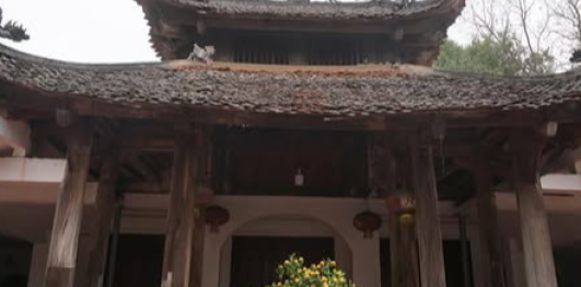 Đình Thọ Vực
