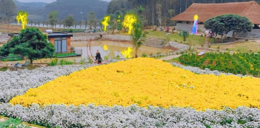 Vạn Hoa Hồ Va