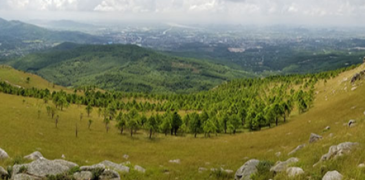 Đỉnh Bình Hương