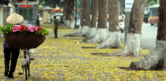 Phố Cổ Hà Nội