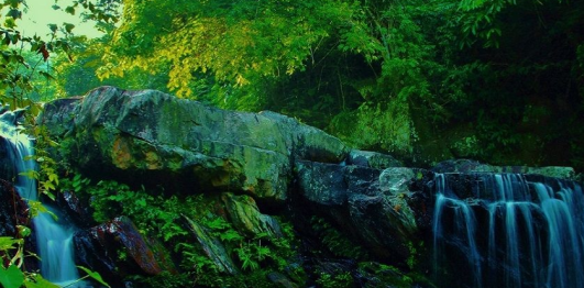 Khu du lịch sinh thái Suối Mỡ 