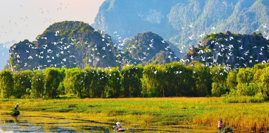 Khu bảo tồn thiên nhiên Vân Long