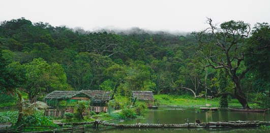 Nhất Lâm Thủy Trang Trà