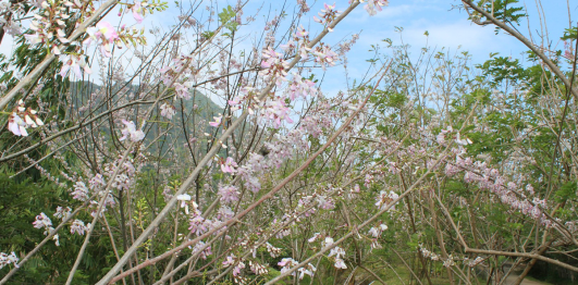 Khu du lịch Waterland suối Thạch Lâm