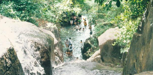 Suối Tiên