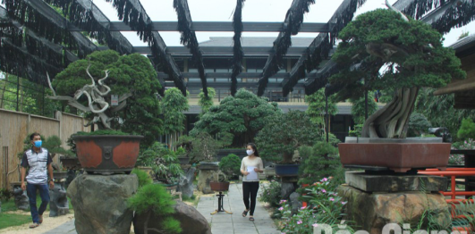 Vườn Bonsai Neo Garden – Koifarm Takana