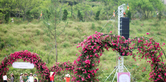 Thung lũng hoa hồng