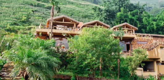 Eco Palms House