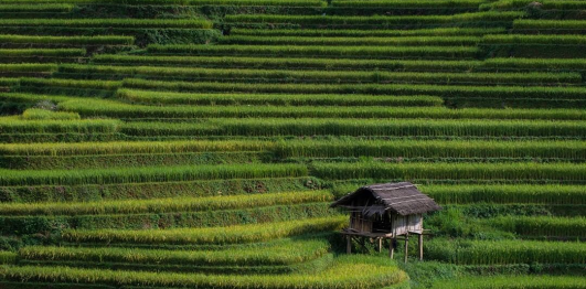 Bản Lao Chải