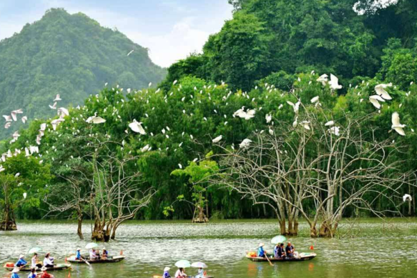 Vườn Chim Thung Nham