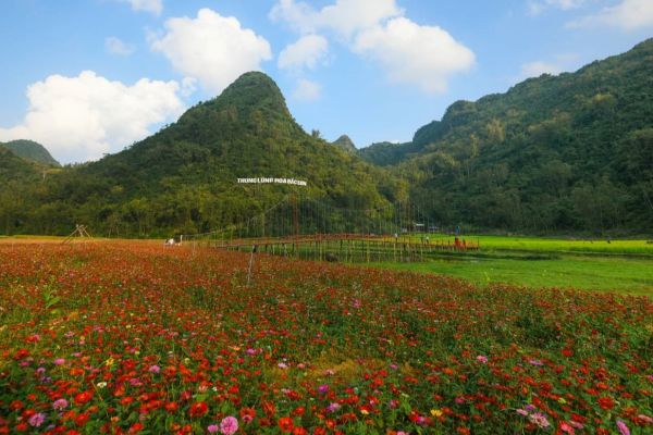 Thung lũng hoa Bắc Sơn