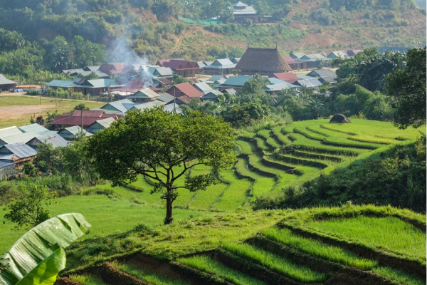 Ruộng bậc thang xã Axan