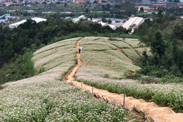 Khu dã ngoại Đồi Gió 