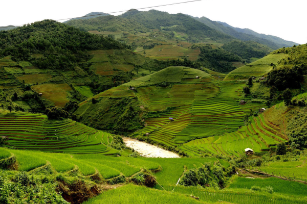 Ruộng bậc thang xã Zế Xu Phình