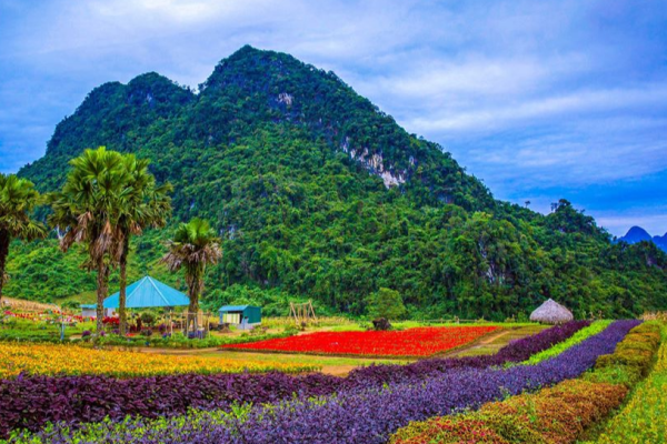 Bình nguyên xanh Khai Trung