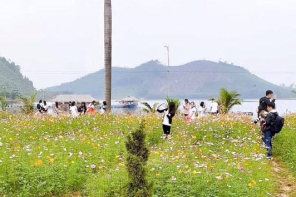 Khu du lịch Hòn Mát