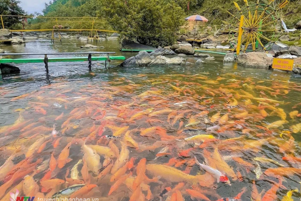 Suối cá khe Tọ