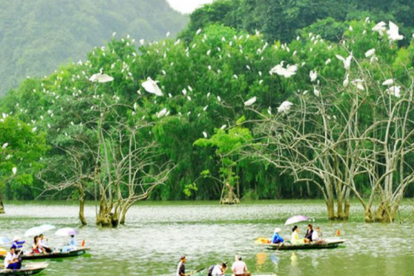 Khu sinh thái Cồn Chim