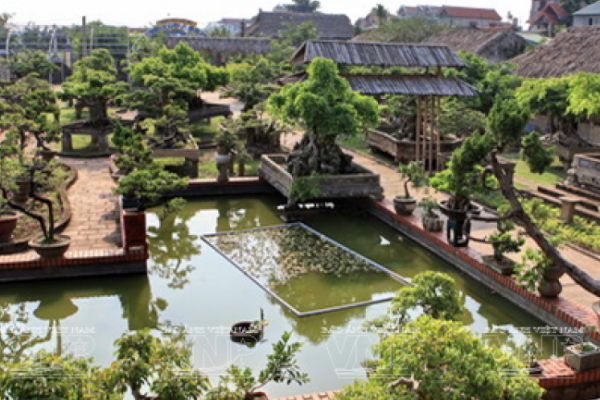 Làng nghề sinh vật cảnh Hồng Vân