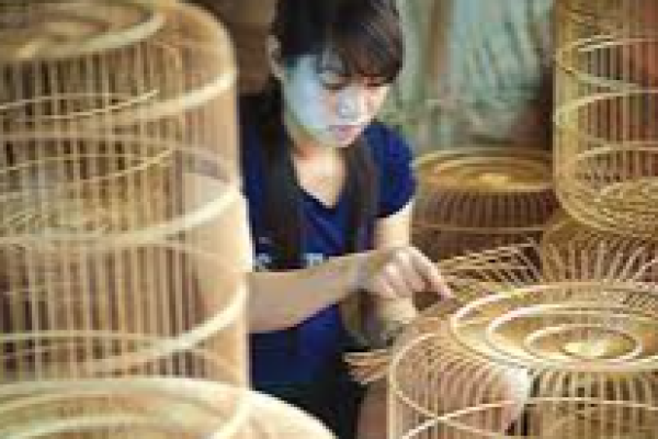 Làng nghề làm lồng chim Canh Hoạch