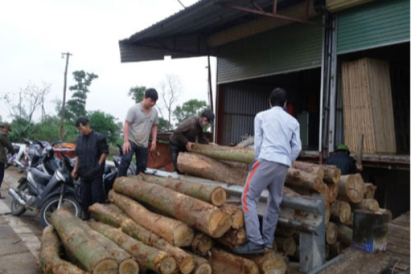Làng nghề chế biến lâm sản thôn Hạ