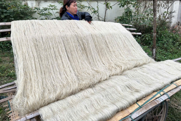Làng nghề chế biến miến và bánh đa Phú Diễn