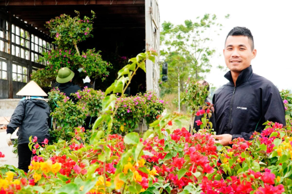 Làng nghề cây cảnh hoa giấy thôn Phù Đổng
