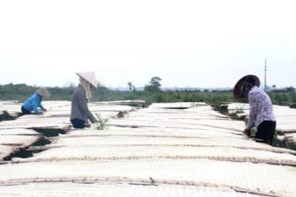 Làng nghề chế biến nông sản Cát Quế