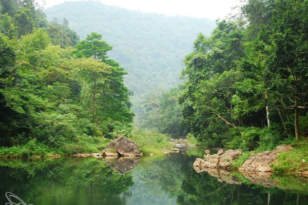 Rừng nguyên sinh Khe Rỗ