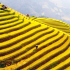 Ruộng bậc thang Hồ Thầu