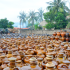 Làng nghề gốm sứ Đông Triều