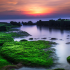 Bãi Rêu Nha Trang 
