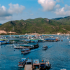 Đảo Bình Hưng 